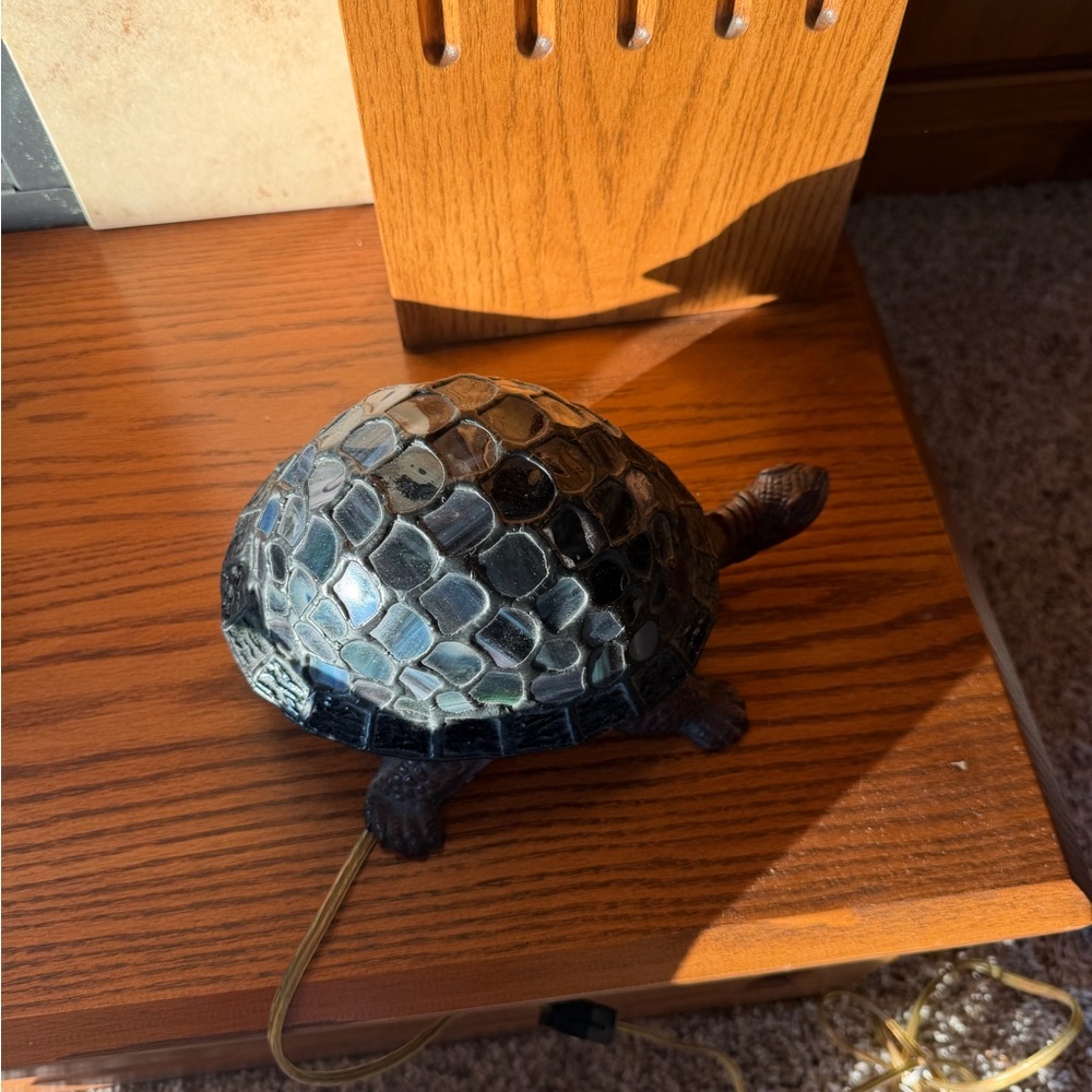 Decorative Black and Gray Turtle Accent